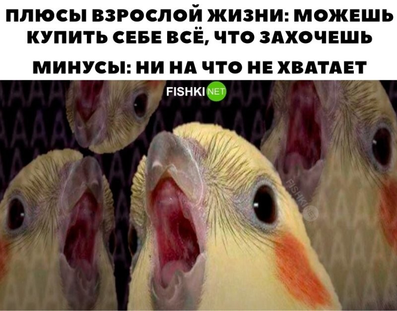 Классика 