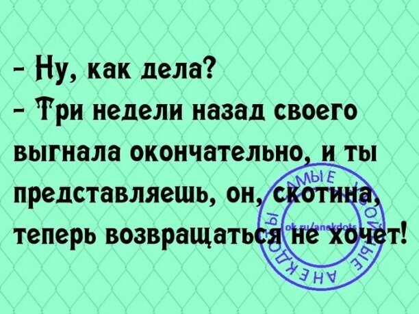 Немного юмора в ... пусть будет в среду