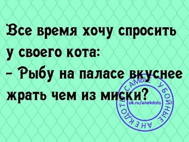 Немного юмора в ... пусть будет в среду