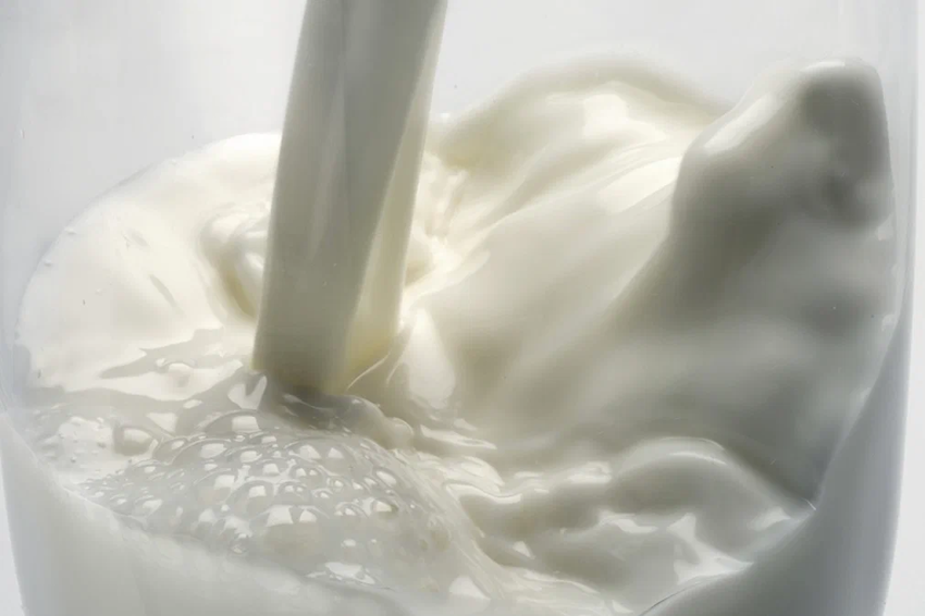 Молоко, пить или не пить? Вся правда о пользе и вреде молока