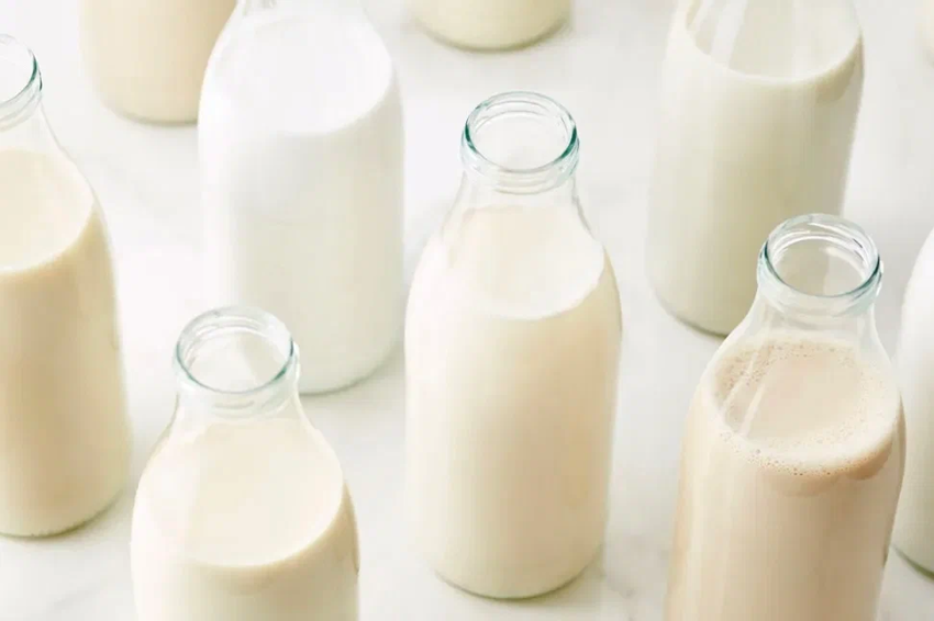 Молоко, пить или не пить? Вся правда о пользе и вреде молока