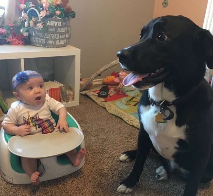 Реакция малышки, которая впервые увидела собаку