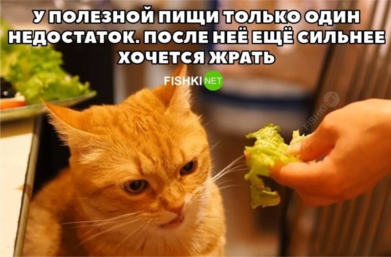 Жизненно 