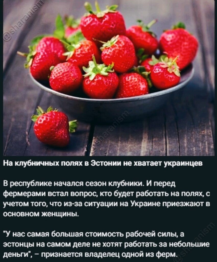 Протоукрам платят больше за флешмобы с грязными труселями... И весело, и физически не затратно и ближе к национальной ментальности