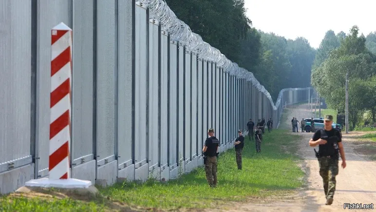 Поляки всё-таки достроили «cамый дорогой в мире забор» на границе с Белоруссией