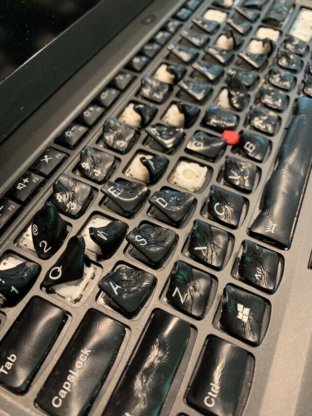 Пользователь пролил кофе на клавиатуру, и решил просушить в духовке