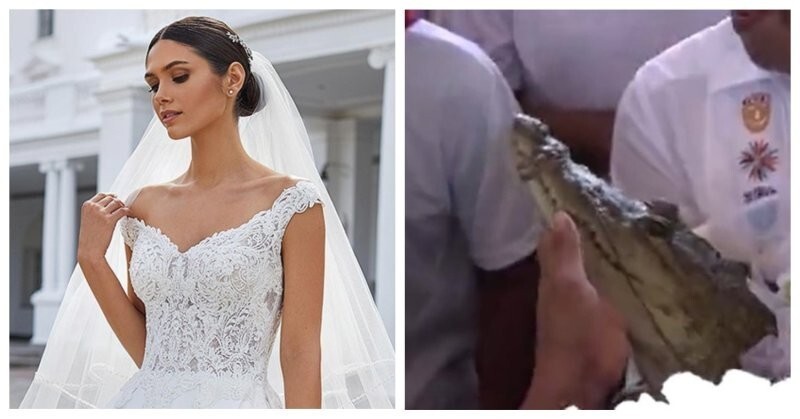 Мэр мексиканского городка женился на крокодиле