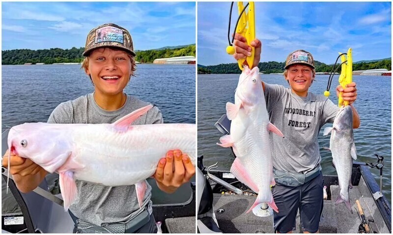 15-летний рыбак вытащил из воды редкую рыбу-альбиноса