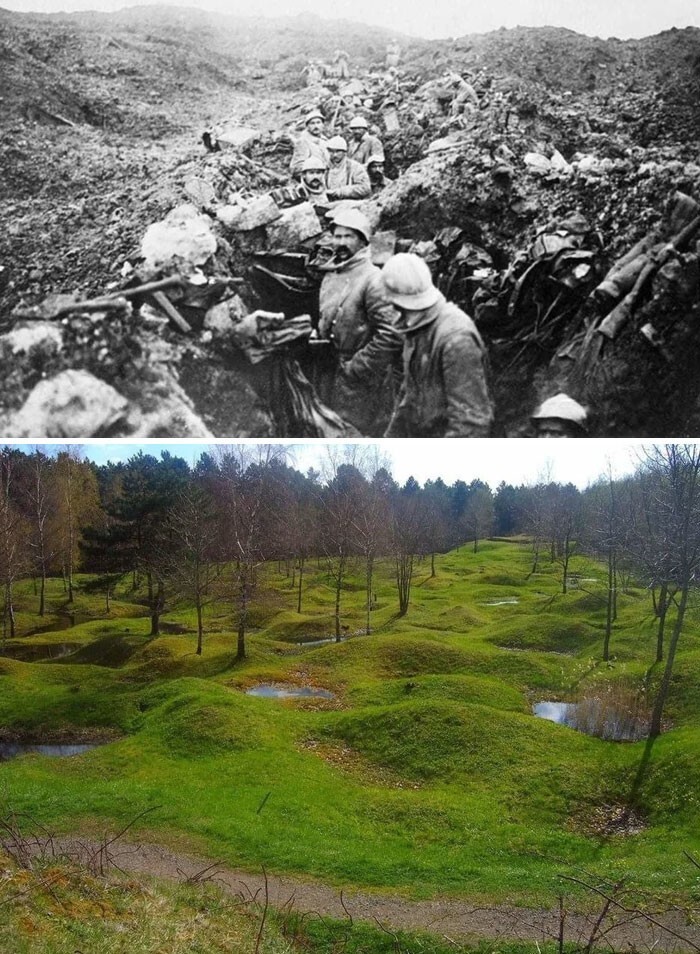 15. Поле битвы при Вердене, Франция. 1916 год и сейчас