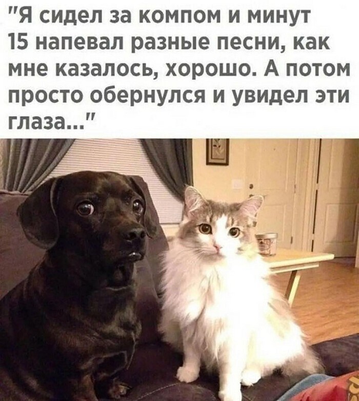 Намешалось