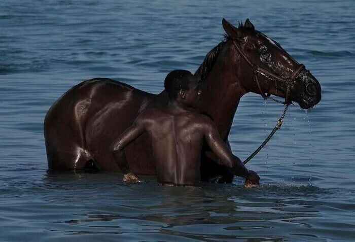Человек и его конь