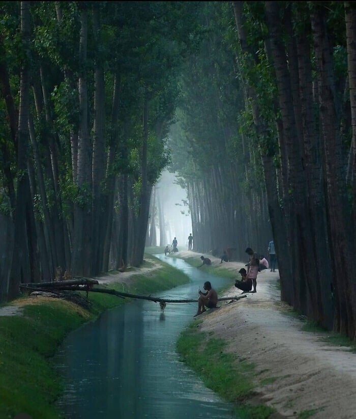 Купание в канале. Индия, Кашмир