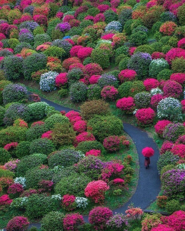 Сад в Оме, Япония