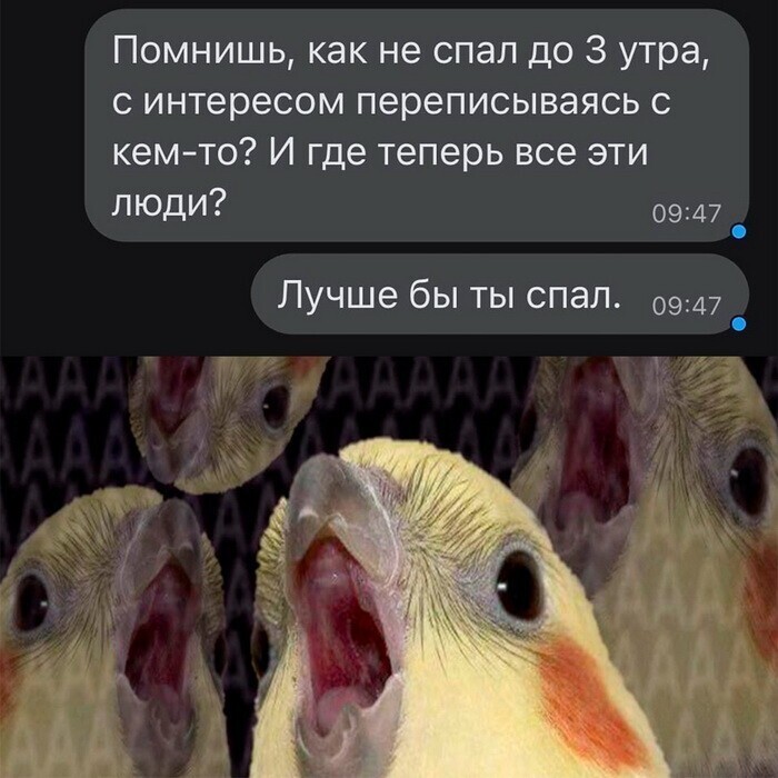 Скрины из соцсетей