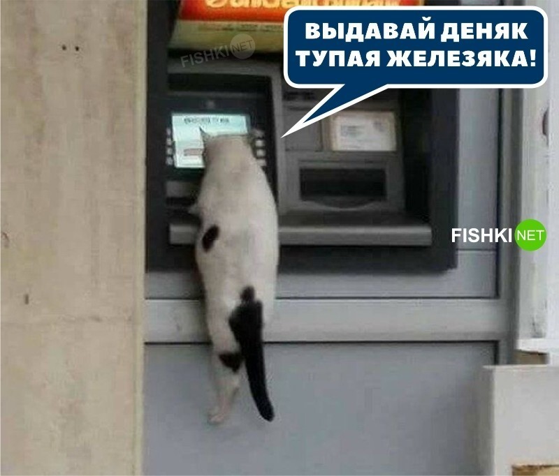 На корм не хватает 