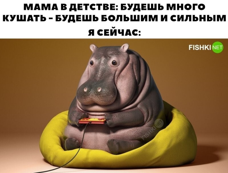 Не обманула 