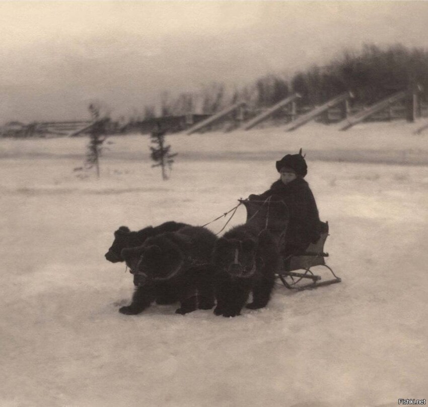 Сибирская тройка в 1900 году выглядела именно так.