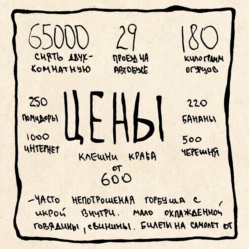 Отправляемся на Дальний Восток: про крабов, песок и бездомных собак