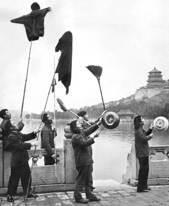 Китайцы распугивают воробьев во время кампании «Четыре вредителя». Летний дворец, Пекин, 1958 год