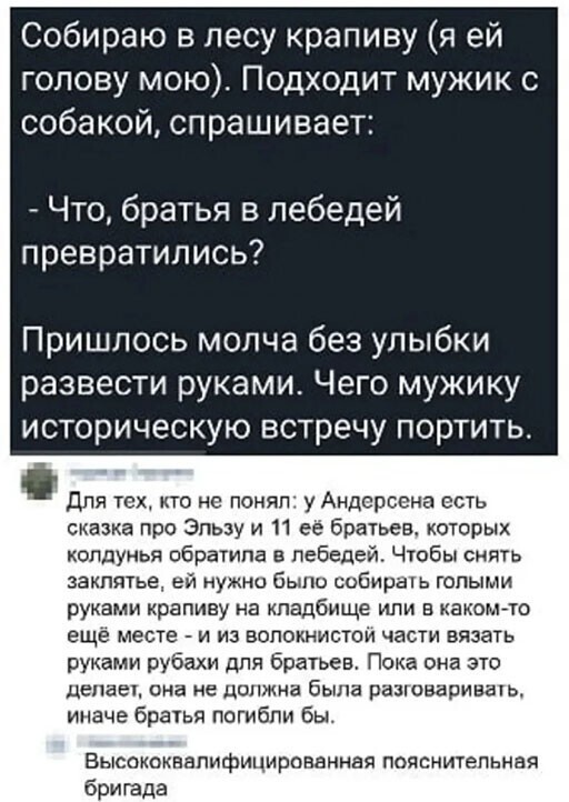 Смешные и познавательные картинки