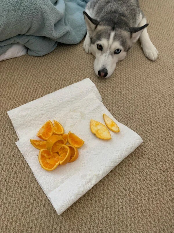 3. "Как моя девушка ест апельсины (слева) и как их ем я (справа)"