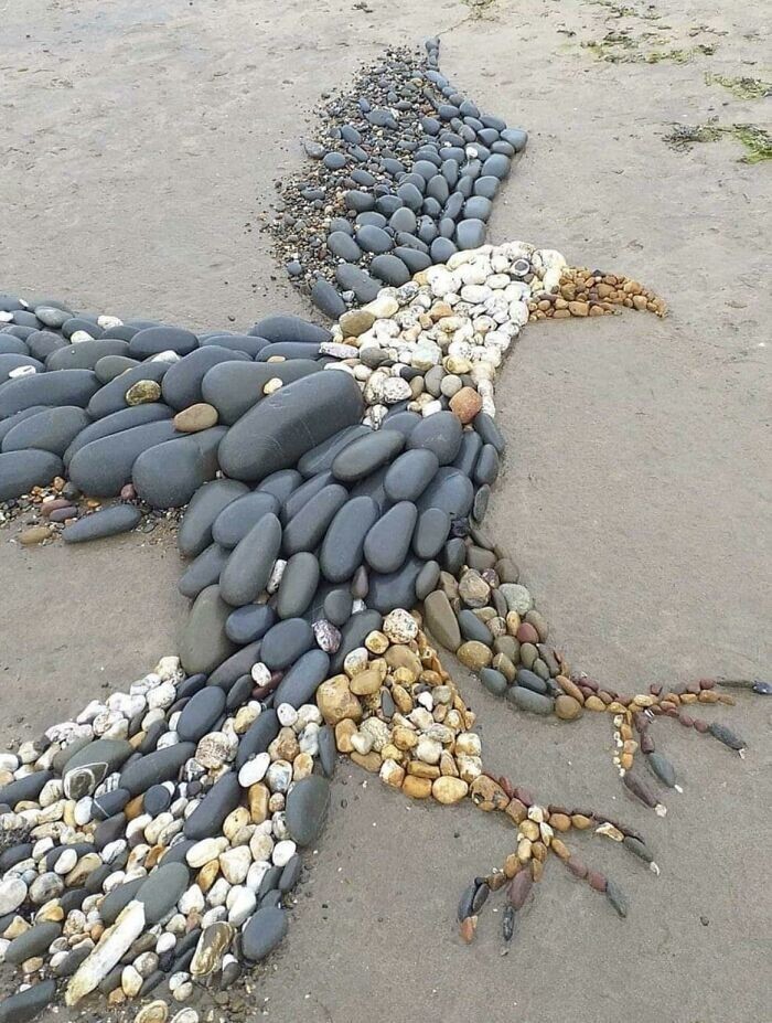 1. Кто-то сложил этого потрясающего орла из камней на пляже в Девоне, Великобритания"