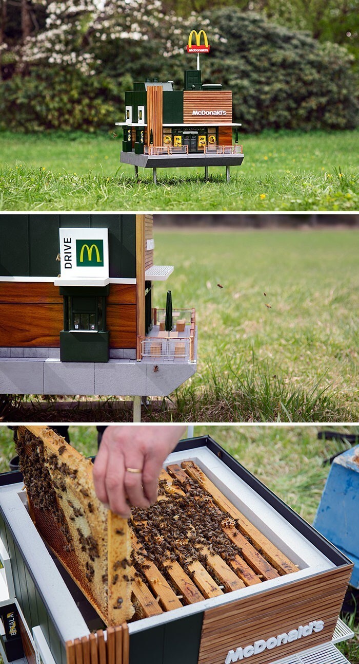 27. МакУлей: самый маленький Макдональдс в мире, построенный для пчел