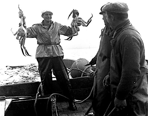Вылов крабов, колхоз им. В. И. Ленина в Авачинском заливе