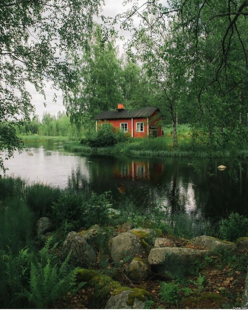 Солянка