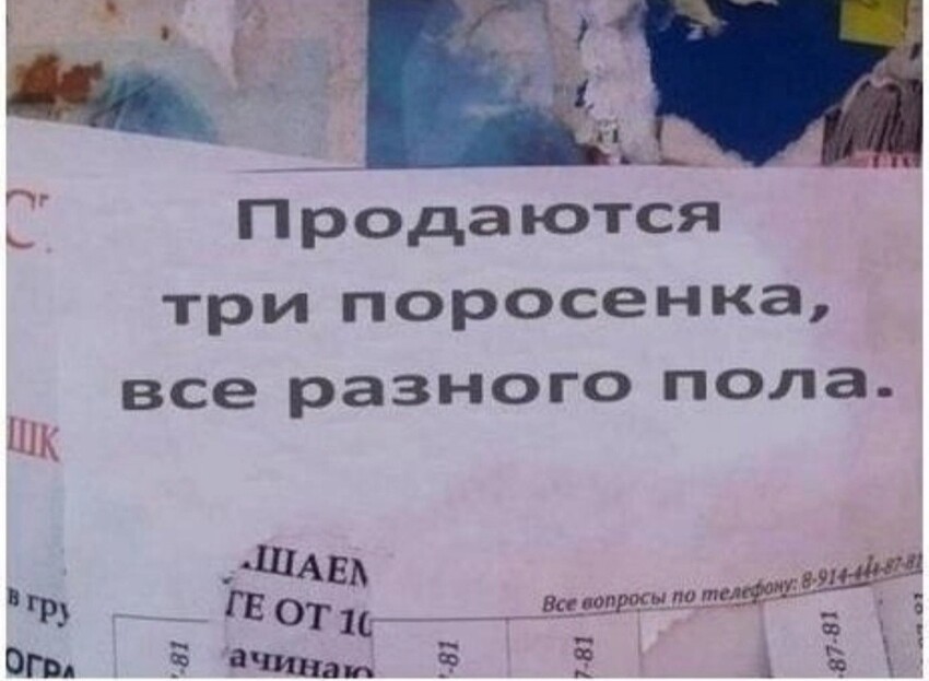 Чёт дядя Миша Задорнов вспомнился и его рассказ про русских в американской школе и трёх поросят с номерами 1, 2 и 4...