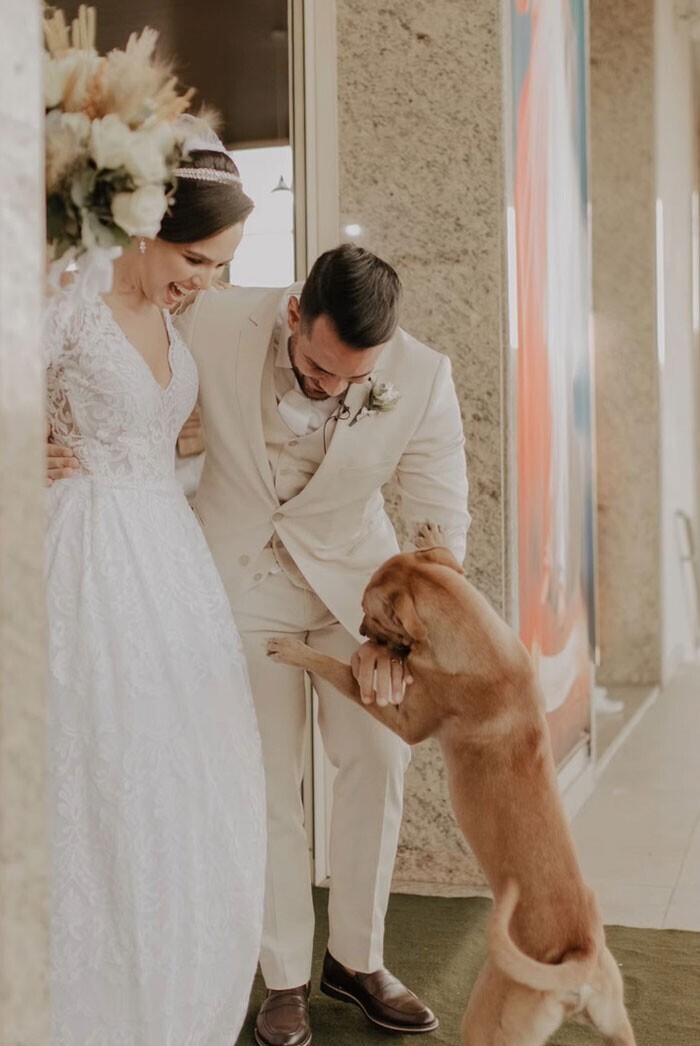 Бездомный пёс трогательно "поздравил" пару со свадьбой