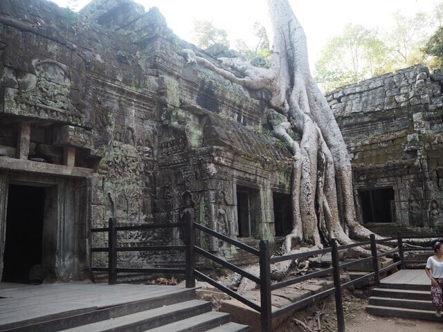 Храм Та Пром в городе Сием Рип, Камбоджа