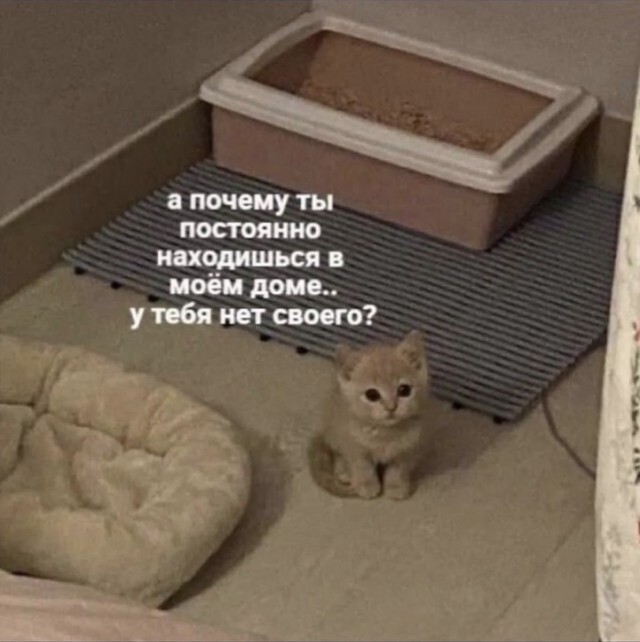 Приколись под утренний кофе