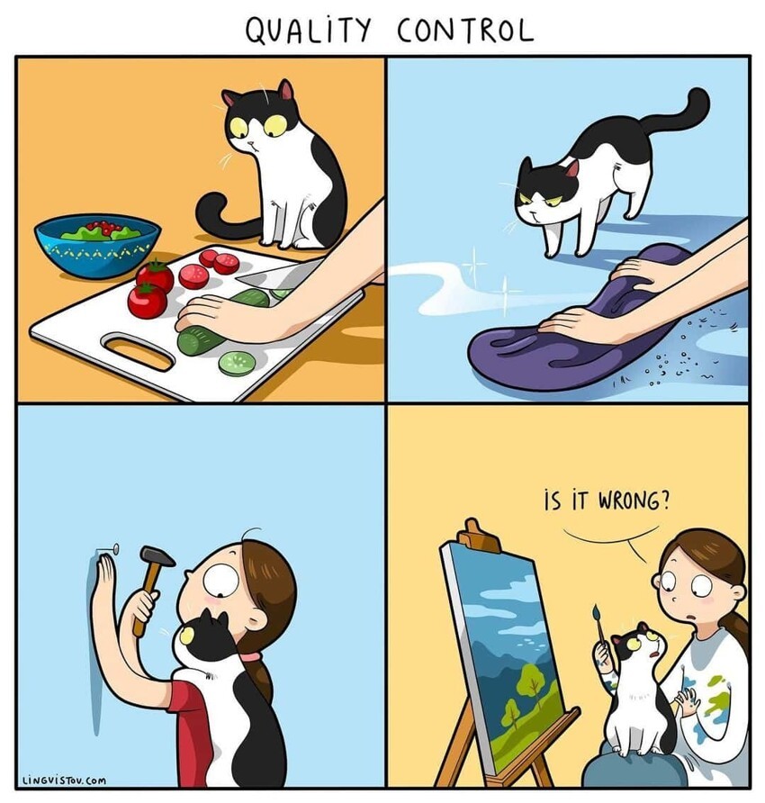 19 забавных комиксов, которые отлично поймёт каждый, у кого дома живёт кот