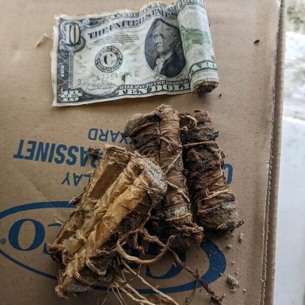 «Думал, что мусор»: мужчина нашел крупную сумму денег у себя под крыльцом