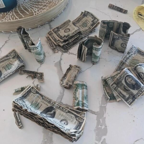 «Думал, что мусор»: мужчина нашел крупную сумму денег у себя под крыльцом