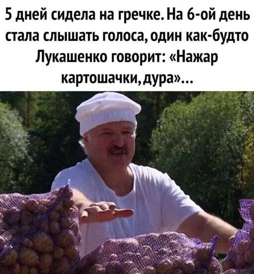 Смешные и познавательные картинки