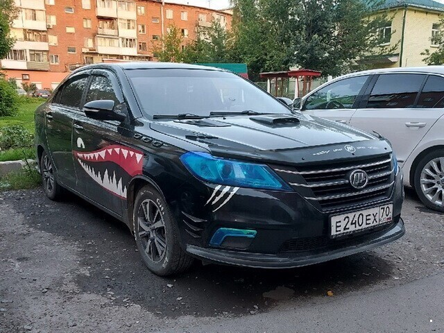 Автовсячина