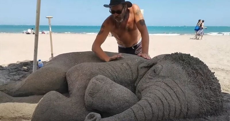 Используя песок и морскую воду, скульптор создал реалистичного слонёнка
