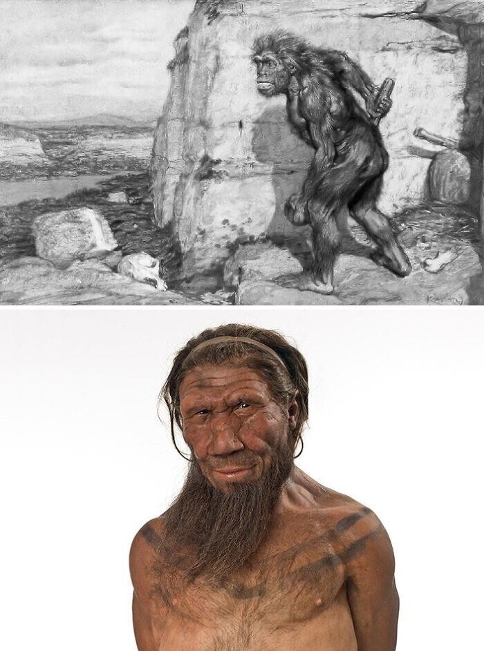 12. Устаревшее изображение неандертальца против научно обоснованной реконструкции неандертальца