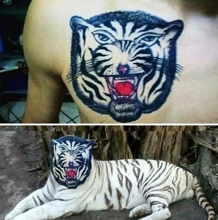 Когда художник ни разу не видел тигра