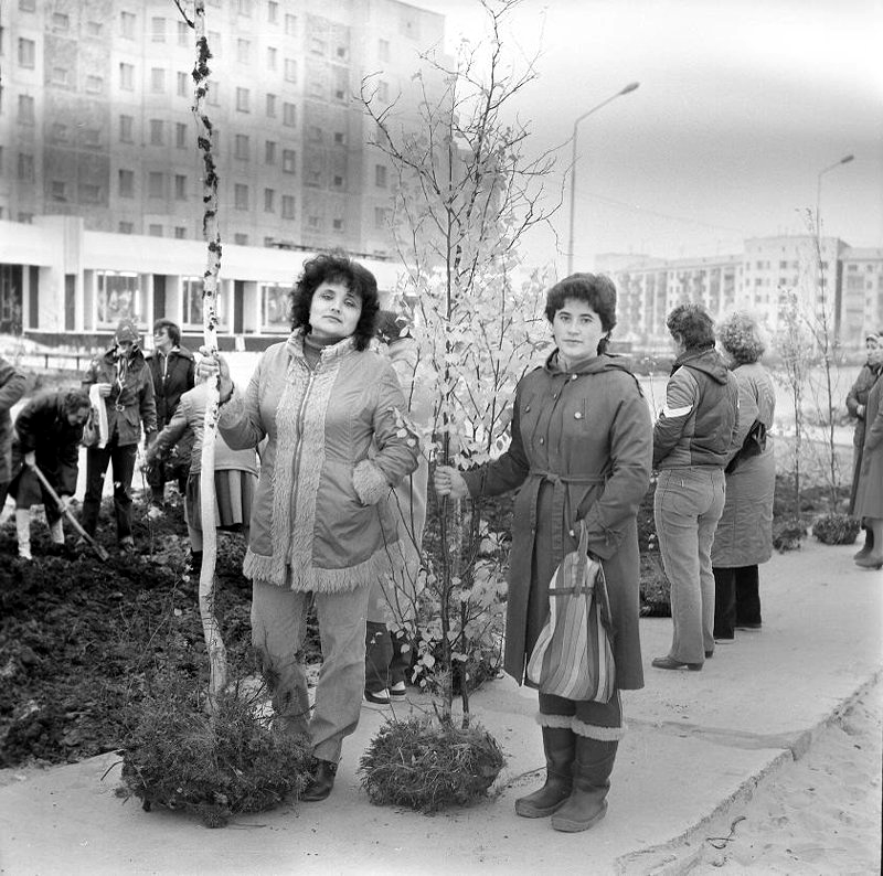 Городской субботник – высадка деревьев в центре Надыма 1988 г.