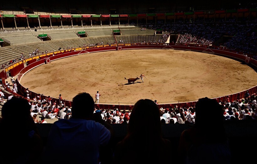 Как испанцы бегают от быков и как прошел главный фестиваль Памплоны