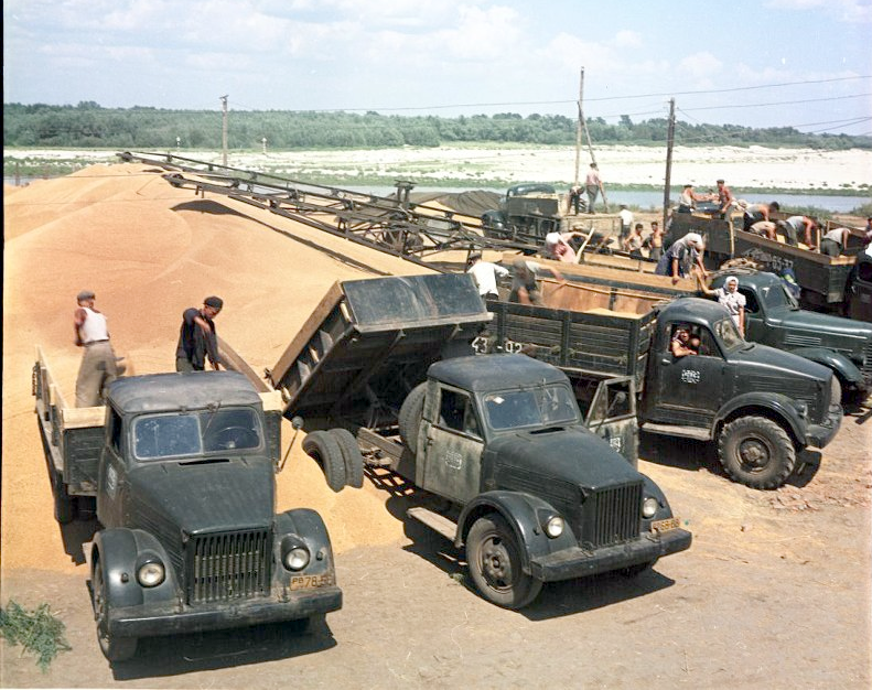 Семенной зернопункт. Ростовская область. 1959 г.