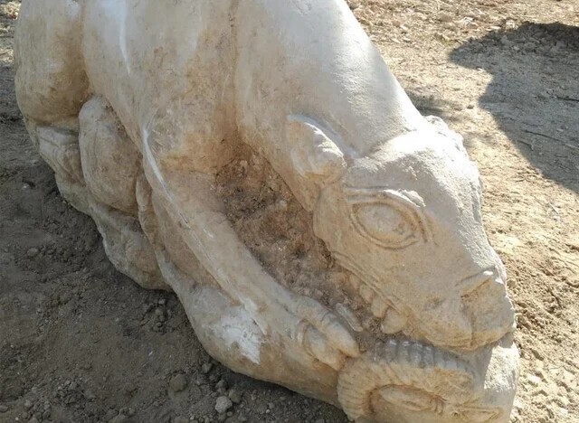 Скульптура иберийской львицы V века до н.э., Кордова, Испания