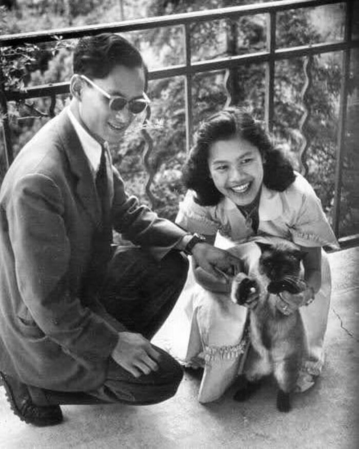 Девятый король Таиланда Пхумипон Адульядет и королева-консорт Сирикит, 1950
