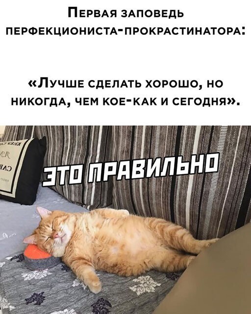 Смешные и познавательные картинки