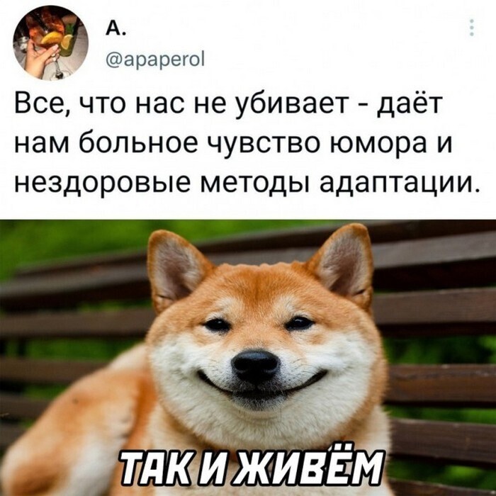 Всё вразнобой