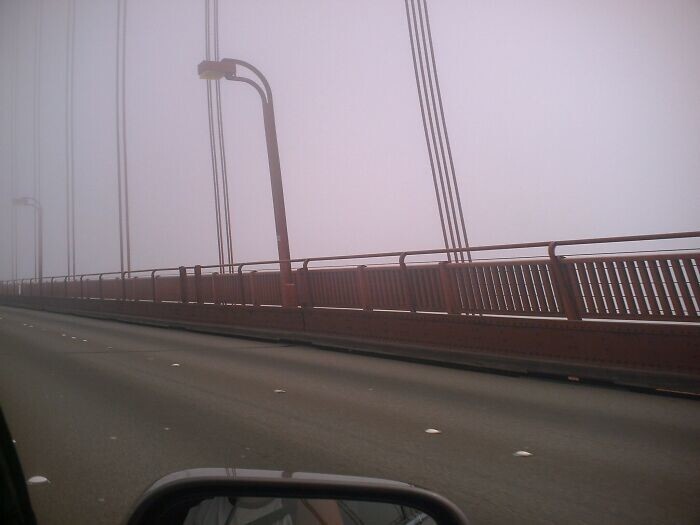 34. "Фотография Сан-Франциско, которую я сделал с моста Золотые Ворота"