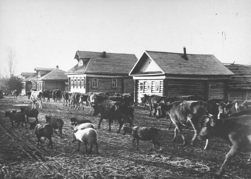 15 фотографий о том, каково было жить в русской деревне в прошлом веке